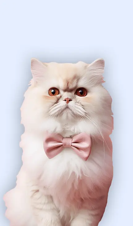 cat pet clinic dubai