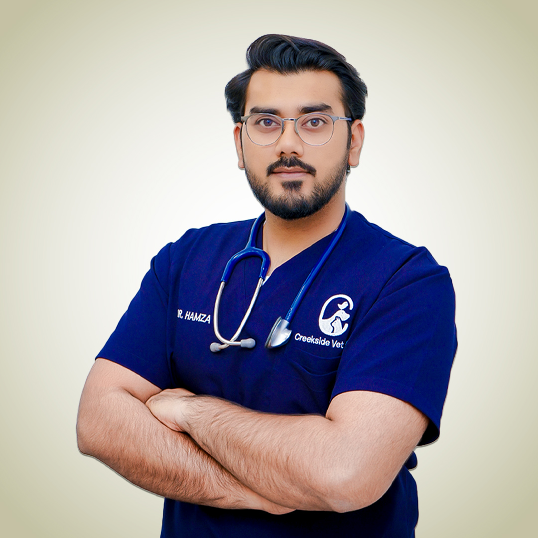 Dr Hamza vet clinic Dubai
