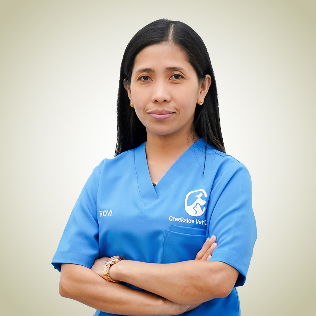 Dr vet clinic Dubai