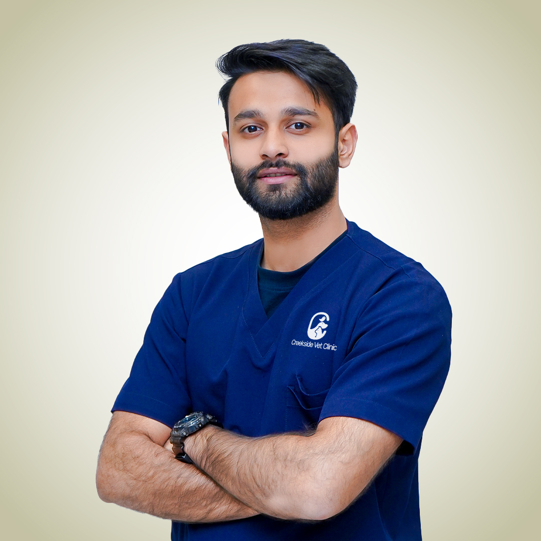 Dr Saboor vet clinic Dubai