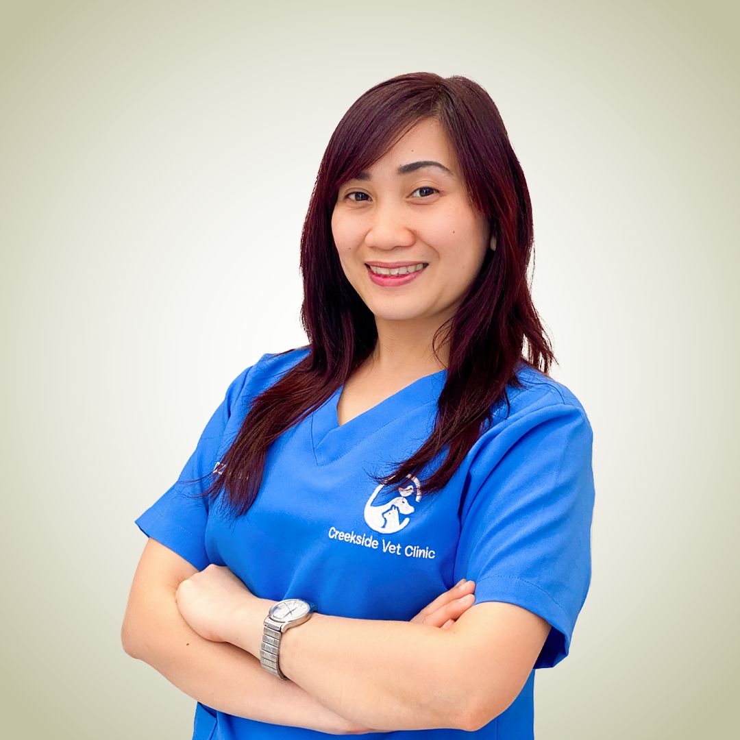 ZAREENA vet clinic Dubai